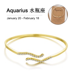 Gold 12 Constellation Diamond Open Bracelet Bangle with Card Aquarius